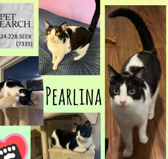 Photo of Pearlina