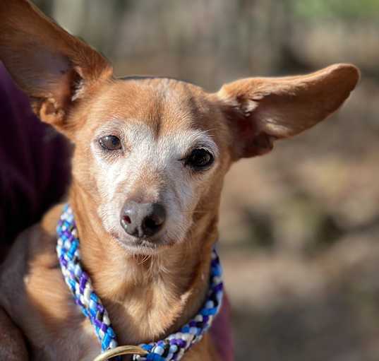 Photo of Leroy