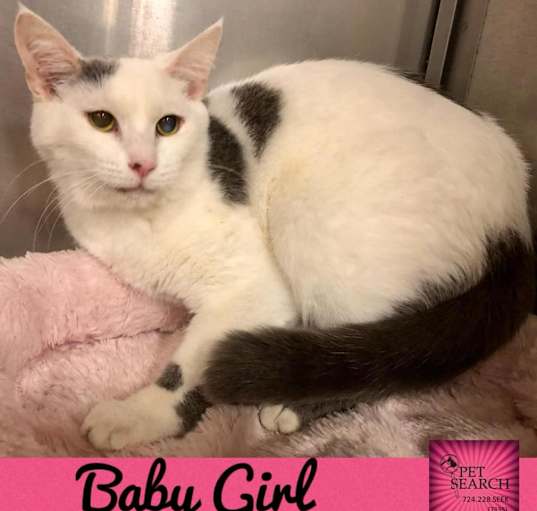 Photo of Baby Girl