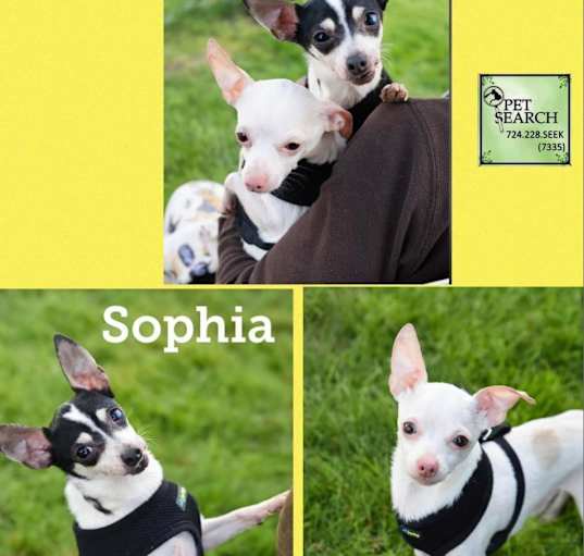 Photo of Sophia and Neiko