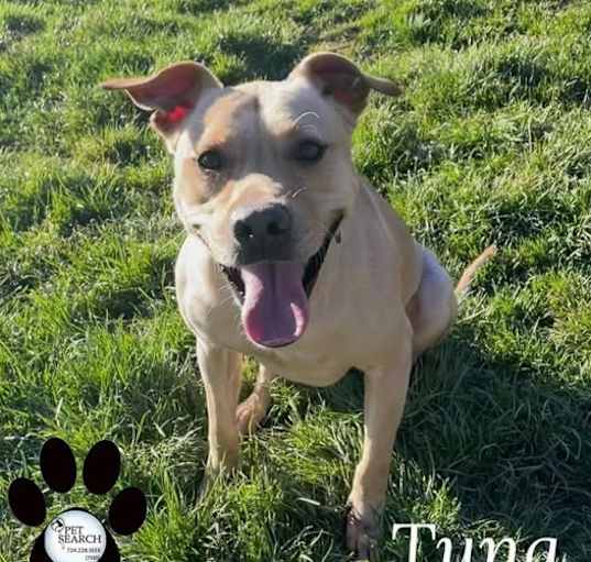 Photo of TUNA