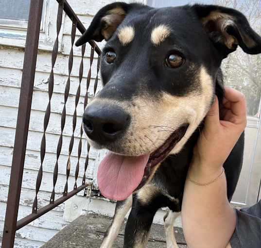 Photo of Delilah