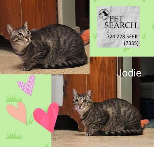 Photo of jodie
