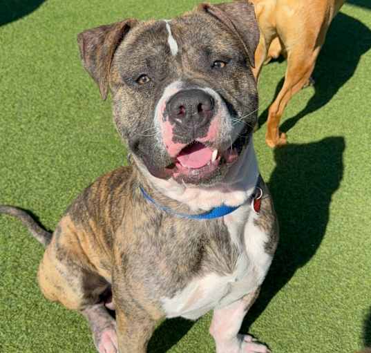 Photo of Kevin A2177943