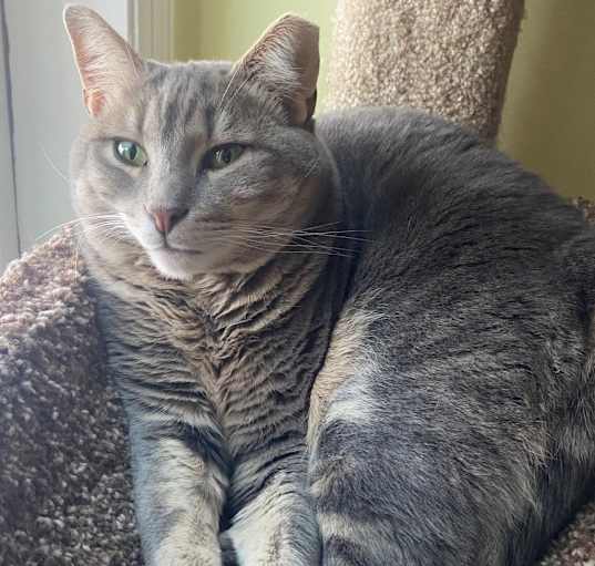 Photo of Mitsy 2022