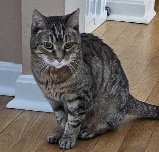 Photo of Patty
