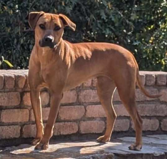 Photo of Moxie