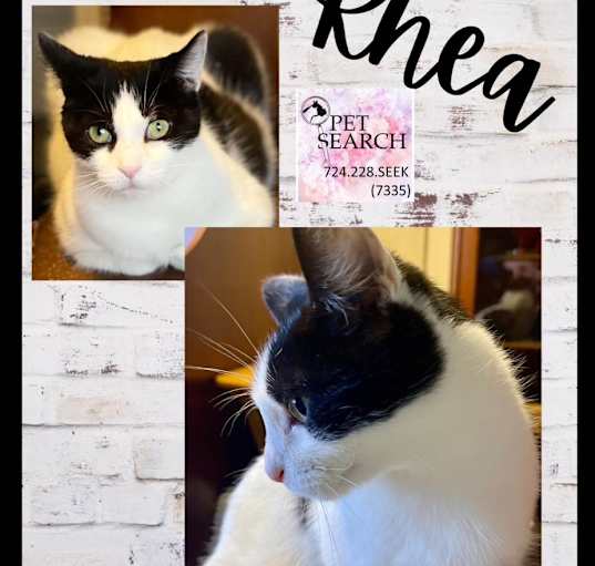 Photo of Rhea
