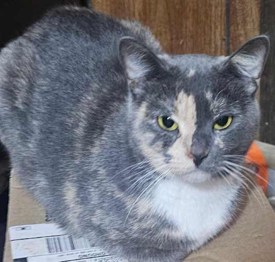 Photo of Jelly
