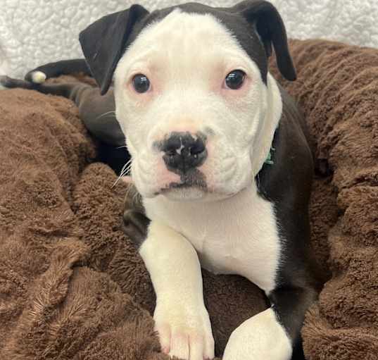 Photo of Micah