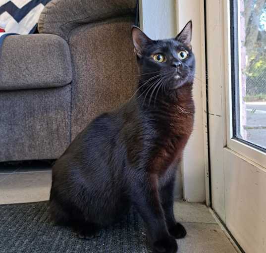 Photo of Cassidy