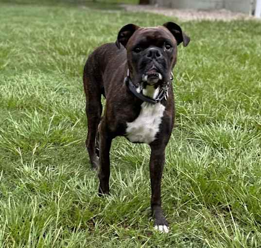 Photo of Captain