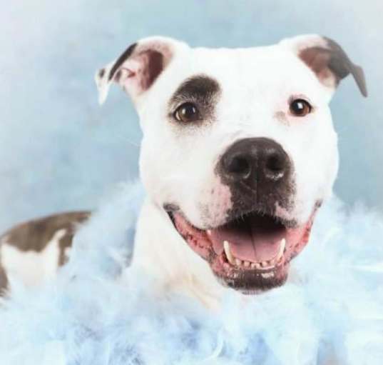 Photo of Penny Jo