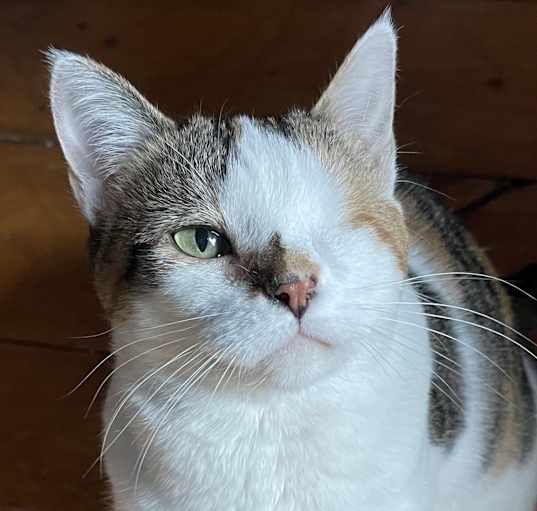 Photo of Stacy