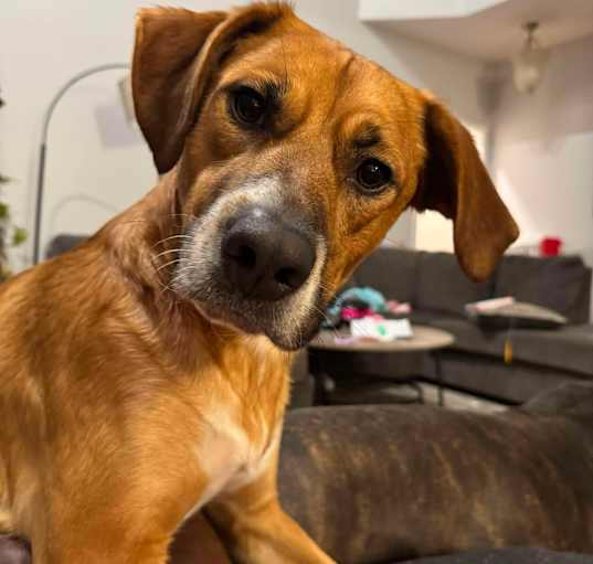 Photo of Wally