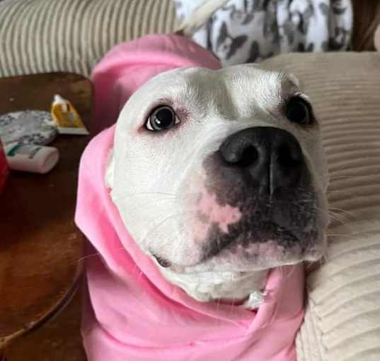 Photo of Tallulah