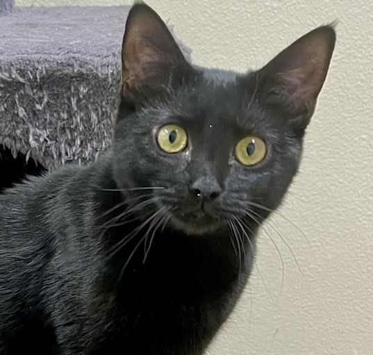 Photo of Agnes
