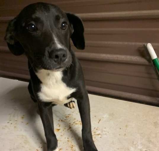 Photo of Wally