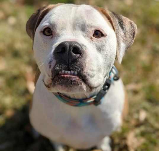 Photo of Rocco