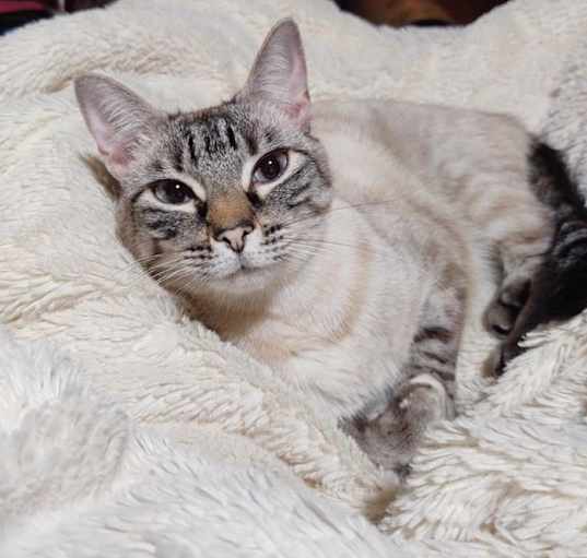 Photo of Sonny