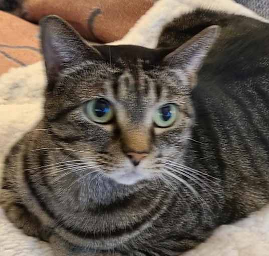 Photo of Minnie