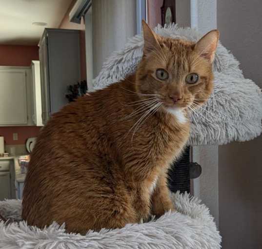 Photo of Cali