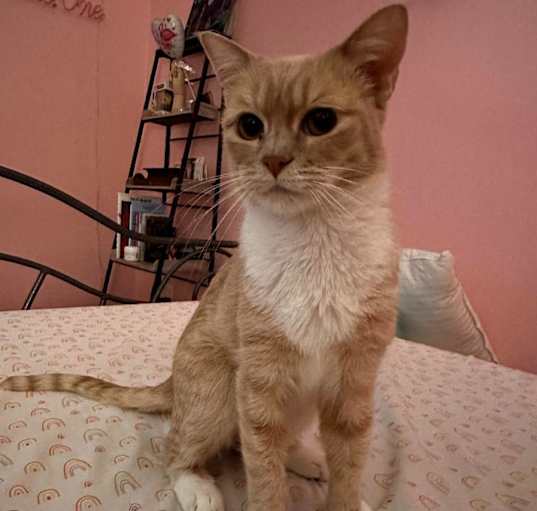 Photo of Penny