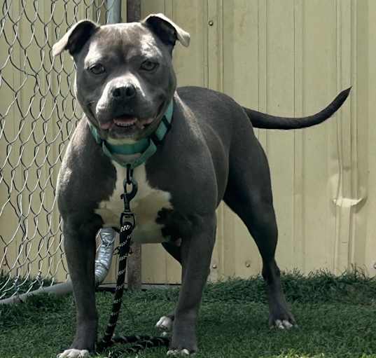 Photo of Nala Grove