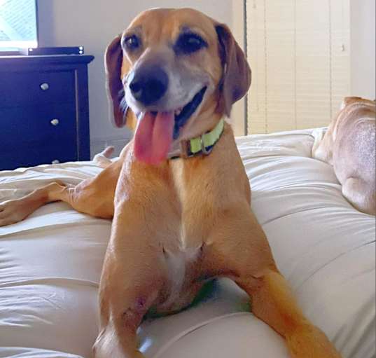 Photo of Mac