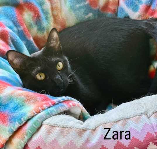 Photo of Zara