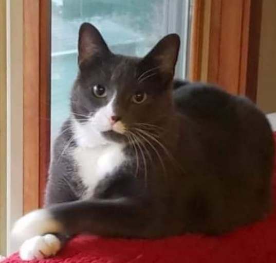 Photo of Tuna