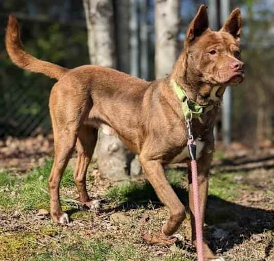 Photo of Asher