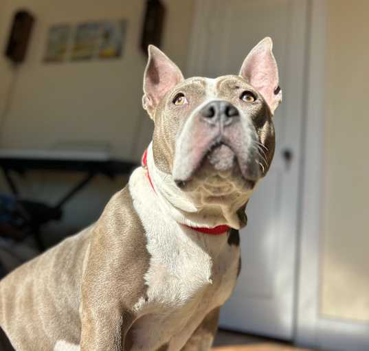 Photo of Lady Jane
