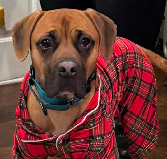 Photo of Diego