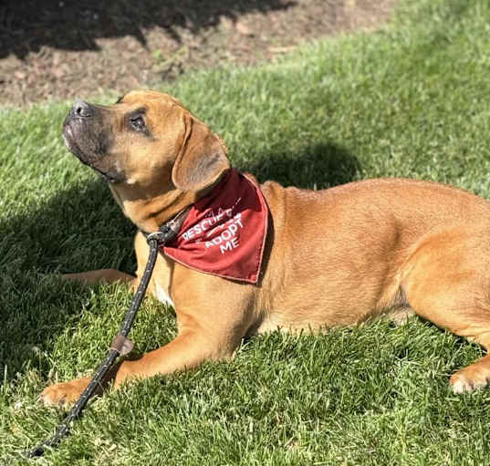 Photo of Willie 3