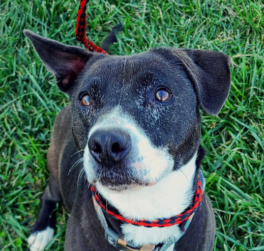 Photo of Daisey