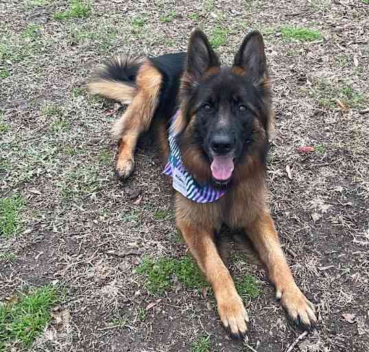 Photo of Annie