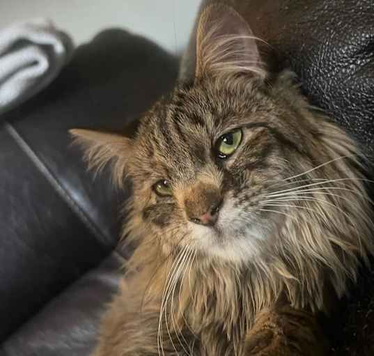 Photo of Wobbles