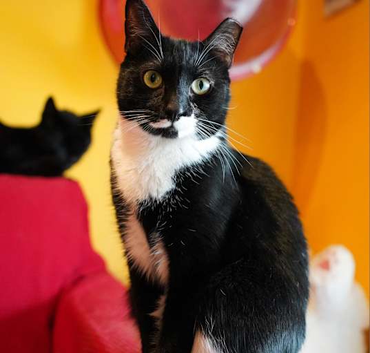 Photo of Darla