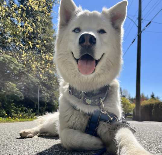 Photo of Steve