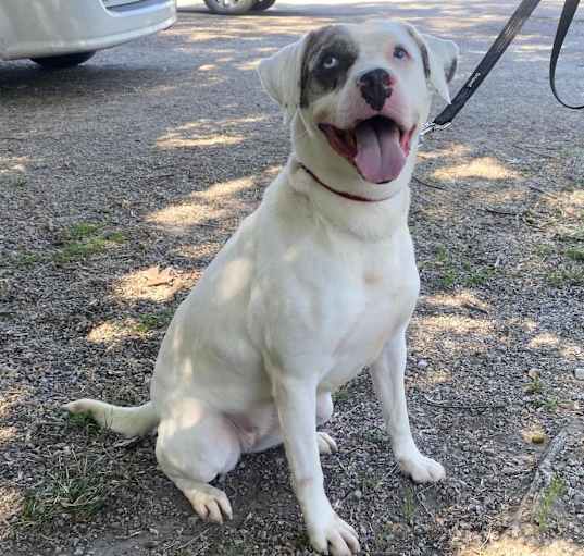 Photo of Xena