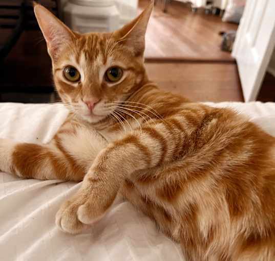 Photo of ARTHUR