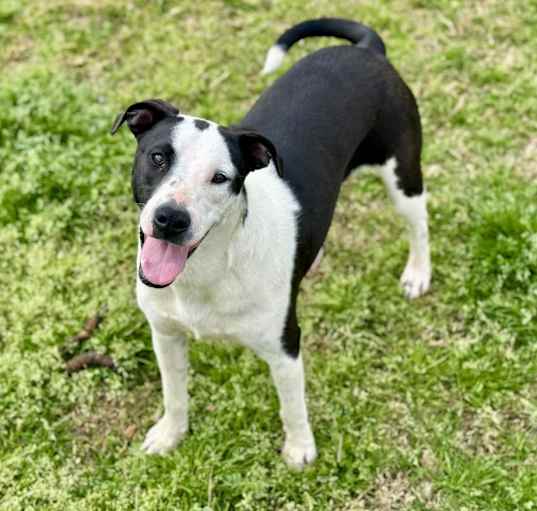 Photo of Dottie