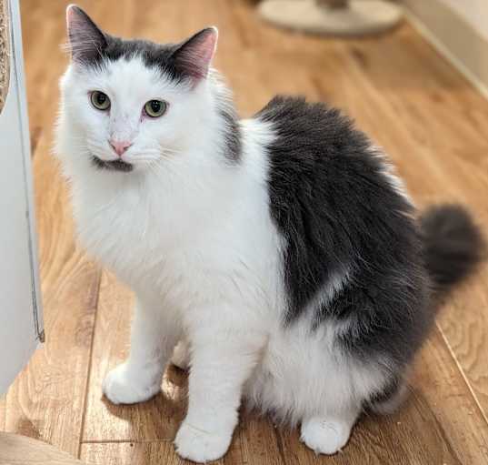 Photo of Murph