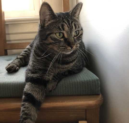 Photo of Della
