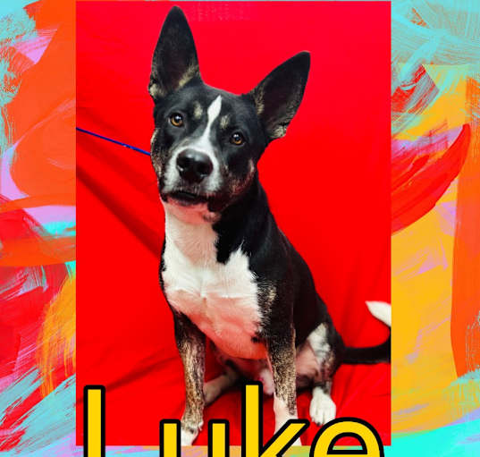 Photo of Luke