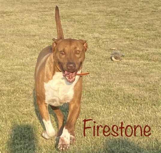 Photo of Firestone