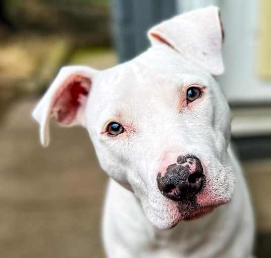 Photo of Pinkie/Billy Jean