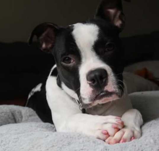 Photo of LACI