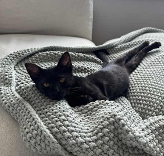 Photo of Grwin